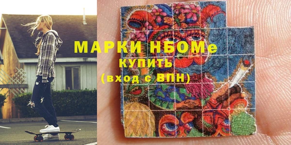 стаф Осинники