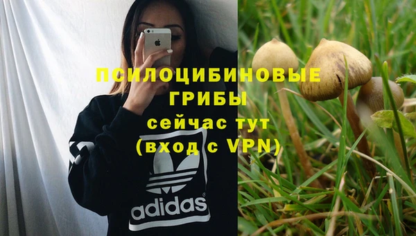 МДПВ Осташков