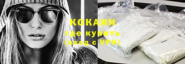 стаф Осинники
