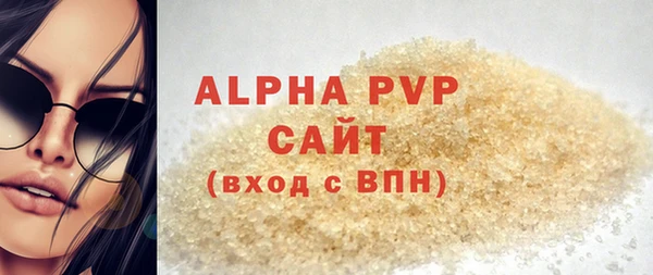 стаф Осинники
