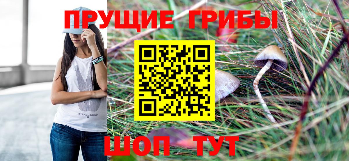 Псилоцибиновые грибы мицелий  Галлюциногенные грибы Psilocybine cubensis  Котельники  Вход с VPN 