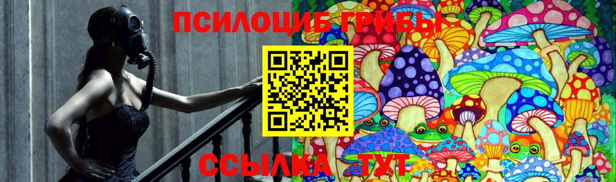 Псилоцибиновые грибы Cubensis Котельники