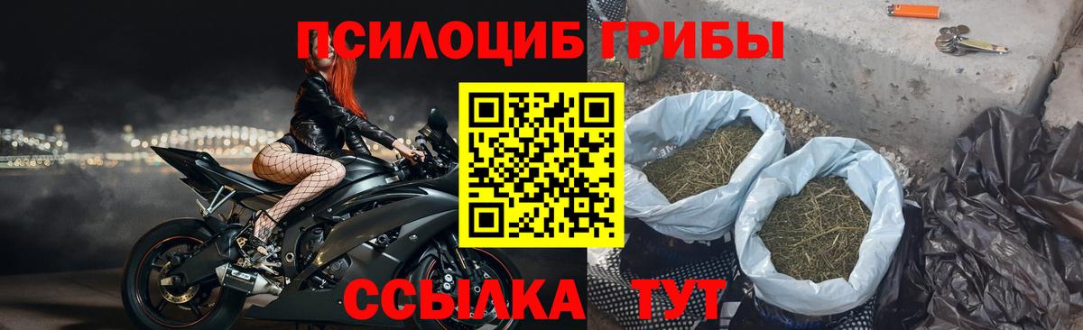 Псилоцибиновые грибы мухоморы  Котельники  Псилоцибиновые грибы GOLDEN TEACHER 